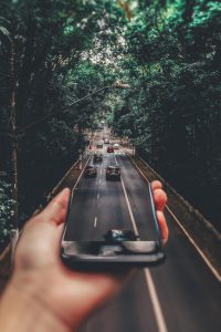 pexels-matheus-bertelli-799443