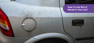 Preventing Car Roof Mold and Mildew: Right Choice