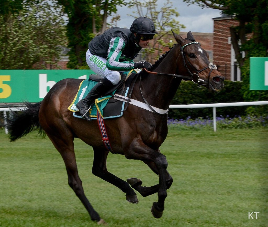 Altior Luxury EV